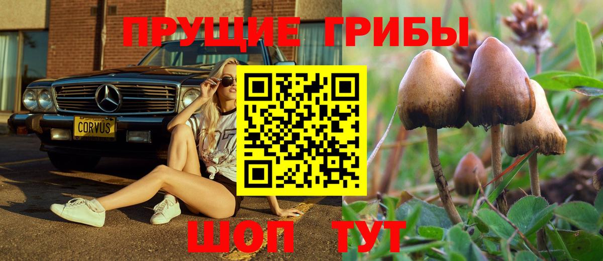 Джанкой  Галлюциногенные грибы прущие грибы  Вход с VPN 